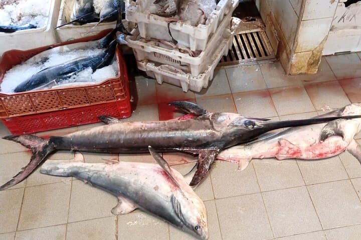 Cooking Class in Tangier and Private City Tour