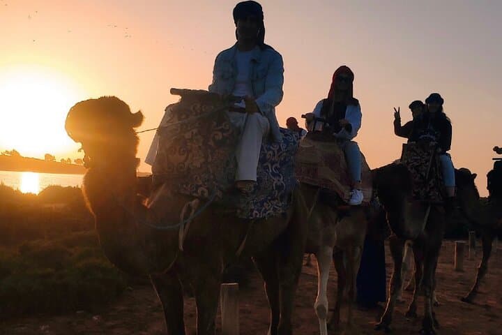 Promenades à dos de chameau à Agadir avec boisson au thé et gâteaux