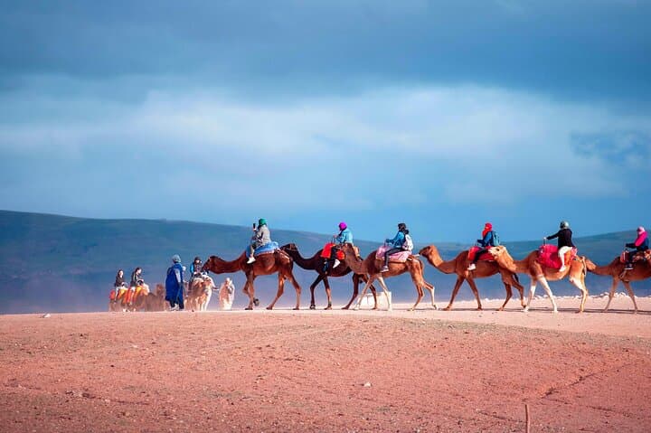 Agafay Desert Dinner & Show with Quad and Sunset Camel Ride