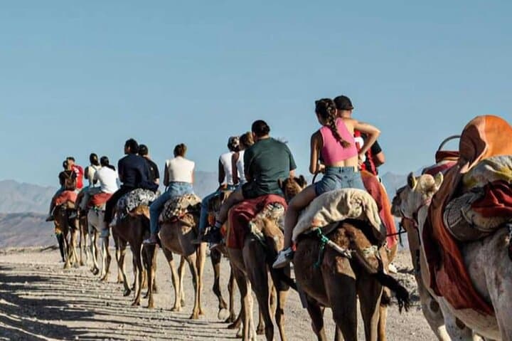 Agafay Desert Sunset Camel Ride & Dinner avec spectacle de feu