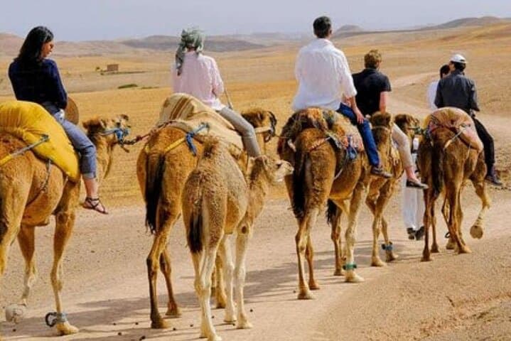 Dîner spectacle dans le désert d'Agafay avec quad et chameaux