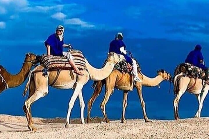 Dîner spectacle dans le désert d'Agafay avec quad et chameaux