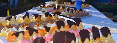 Ocean Vagabond Essaouira