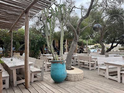 Ocean Vagabond Essaouira