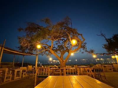 Ocean Vagabond Essaouira