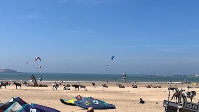 Ocean Vagabond Essaouira