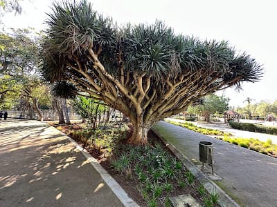 Jardin Nouzhat Hassan