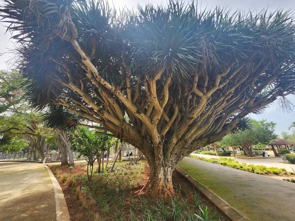 Jardin Nouzhat Hassan