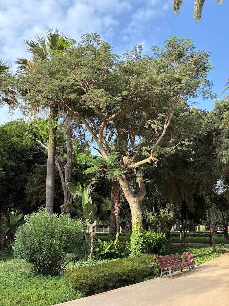 Jardin Nouzhat Hassan