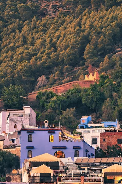 Restaurant Cafe Zambra