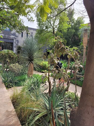 Le Jardin Secret Médina Marrakech