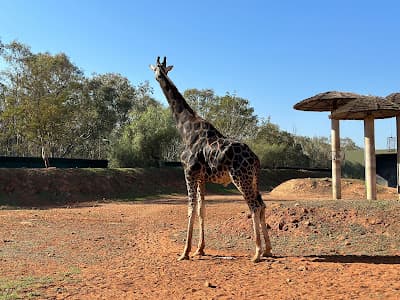 Jardin Zoologique de Rabat