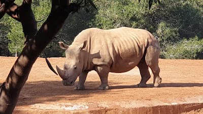 Jardin Zoologique de Rabat
