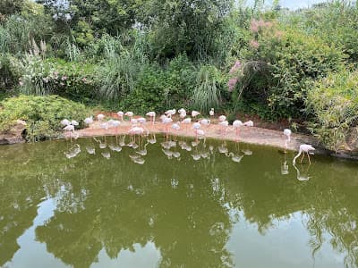 Jardin Zoologique de Rabat