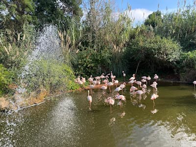 Jardin Zoologique de Rabat