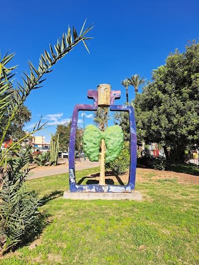 Jardin Des Arts