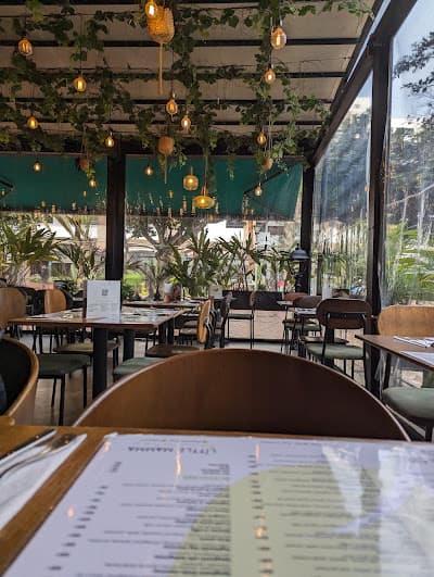 Little Mamma Mahaj Riad