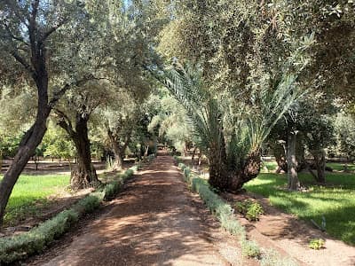 Cyber Parc Arsat Moulay Abdeslam