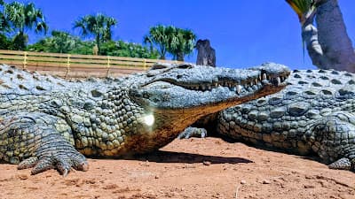 Crocoparc Agadir Jardin exotique et Parc animalier