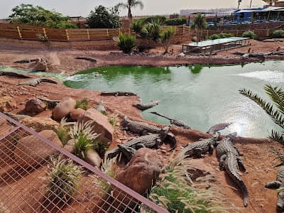 Crocoparc Agadir Jardin exotique et Parc animalier