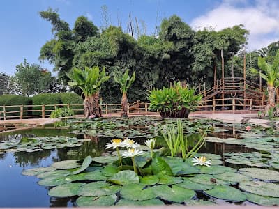 Crocoparc Agadir Jardin exotique et Parc animalier