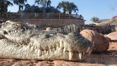 Crocoparc Agadir Jardin exotique et Parc animalier