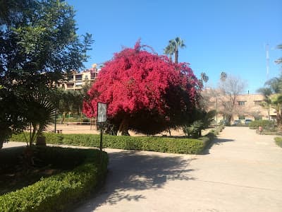 Parc El Harti