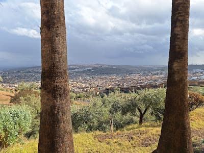 Panoramic view