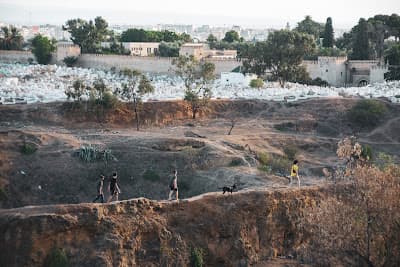 Panoramic view