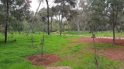 Forêt Urbaine Ibn Sina "Hilton"