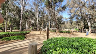 Forêt Urbaine Ibn Sina "Hilton"