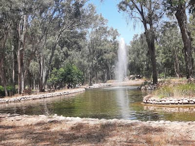 Forêt Urbaine Ibn Sina "Hilton"