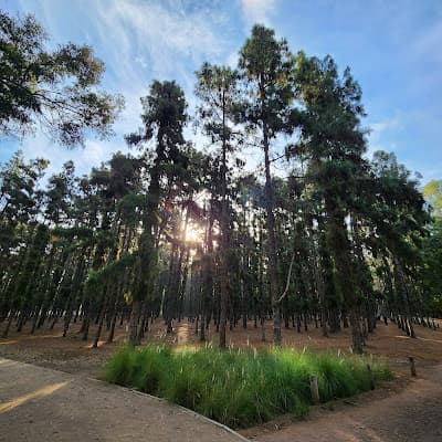 Forêt Urbaine Ibn Sina "Hilton"