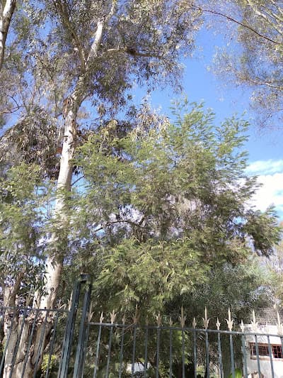 Forêt Urbaine Ibn Sina "Hilton"