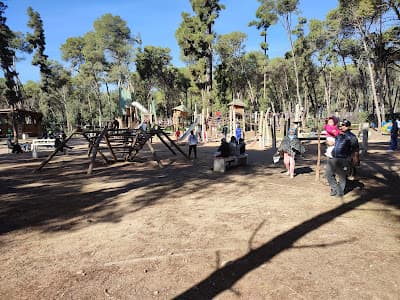 Forรชt de Bouskoura