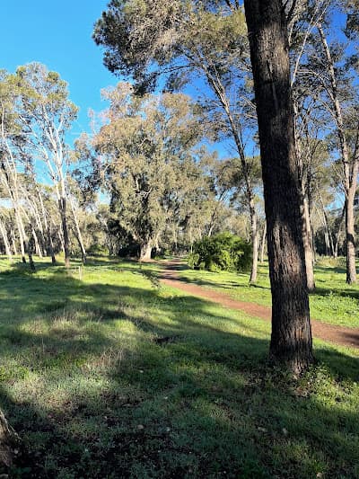 Forรชt de Bouskoura