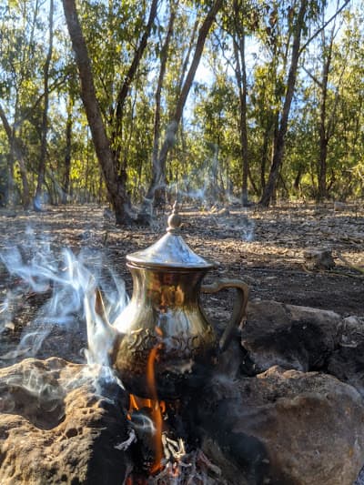 Forรชt de Bouskoura