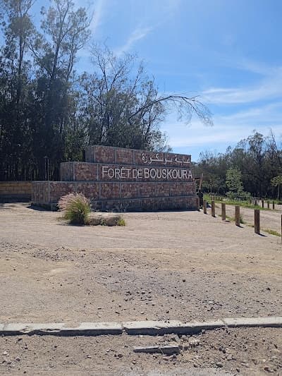 Forรชt de Bouskoura