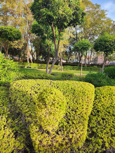 عرصة مولاي عبد السلام