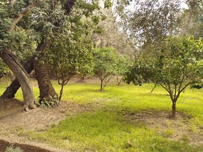 عرصة مولاي عبد السلام