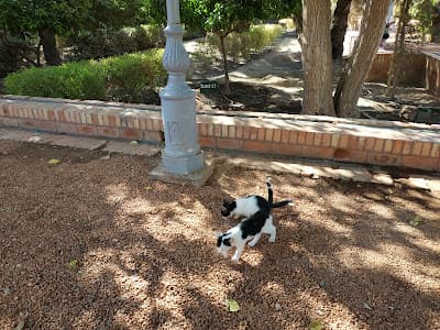 عرصة مولاي عبد السلام