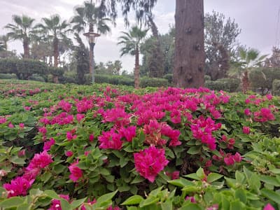 عرصة مولاي عبد السلام