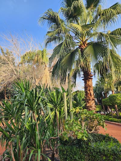 عرصة مولاي عبد السلام