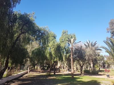 Jardin Olhao Agadir