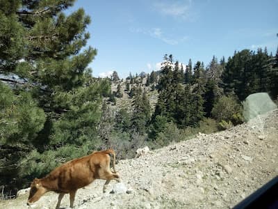 Parc national de Talassemtane