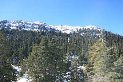 Parc national de Talassemtane