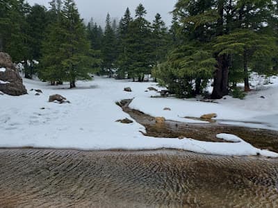 Parc national de Talassemtane