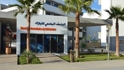 Musée universitaire de météorites