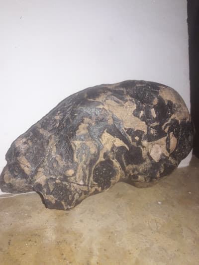 Musée universitaire de météorites