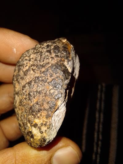 Musée universitaire de météorites